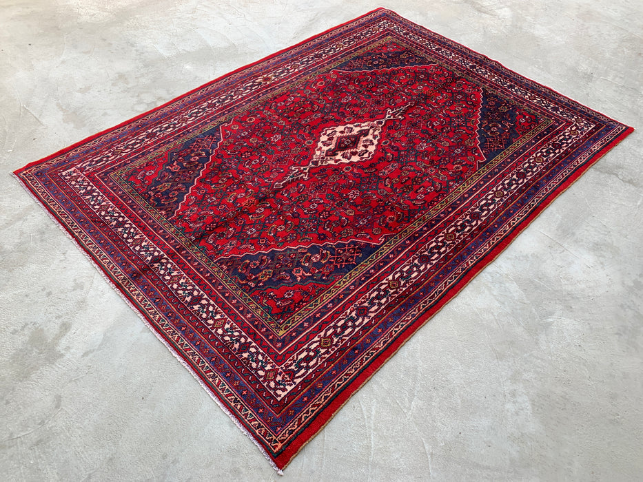 9'11 x 6'11 handgeknoopt Perzisch wollen tapijt - Rood medaillonontwerp - KBHM-1016