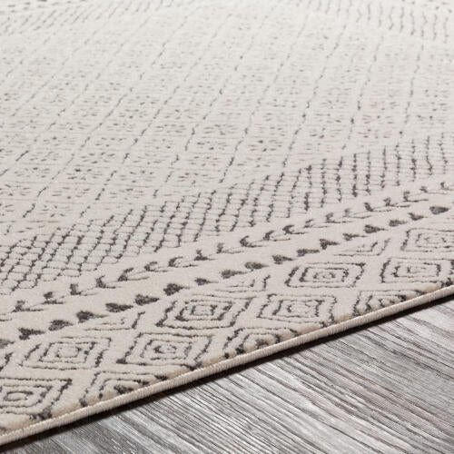 Bahar Machinaal Geweven Vloerkleed — Houtskool / Lichtbeige | BHR-2321