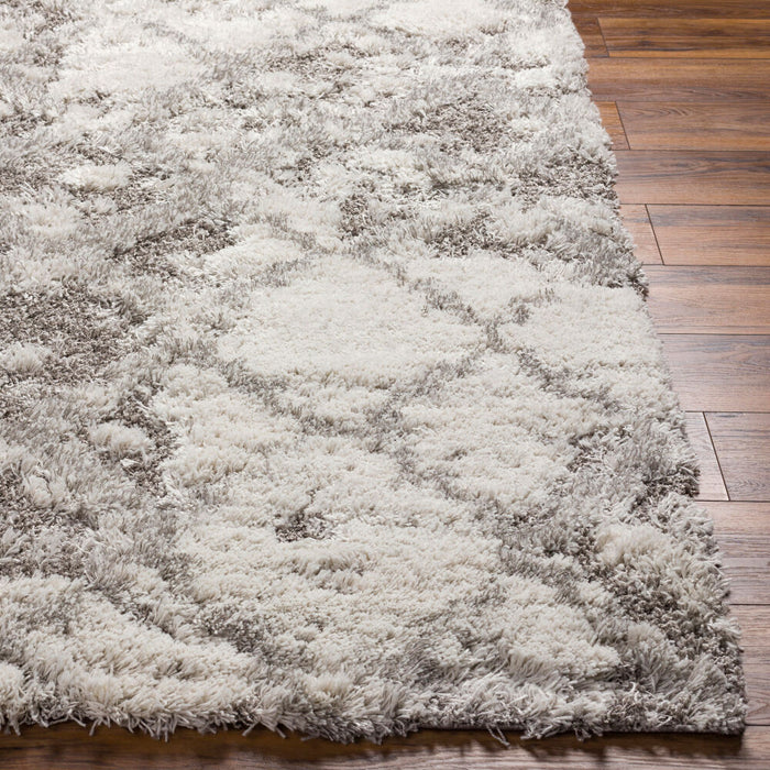 Alta Shag Machine Woven Rug — Off-White / Gray | ASG-2305