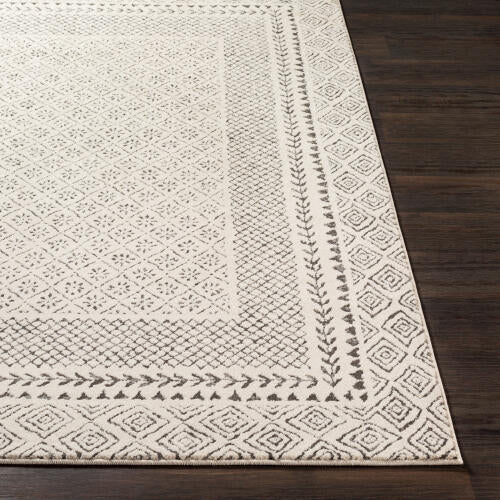 Bahar Machinaal Geweven Vloerkleed — Houtskool / Lichtbeige | BHR-2321