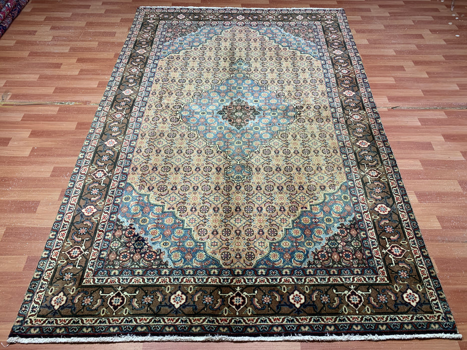 7'x10' Hand-Knotted Persian Beige/Multi Area Rug – KB Rugs 