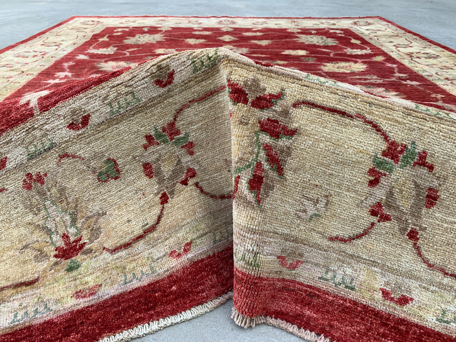 7'10 x 6'4 Hand-Knotted Peshawari Chobi Wool Rug - Red Traditional Floral Area Rug - KBHM-544