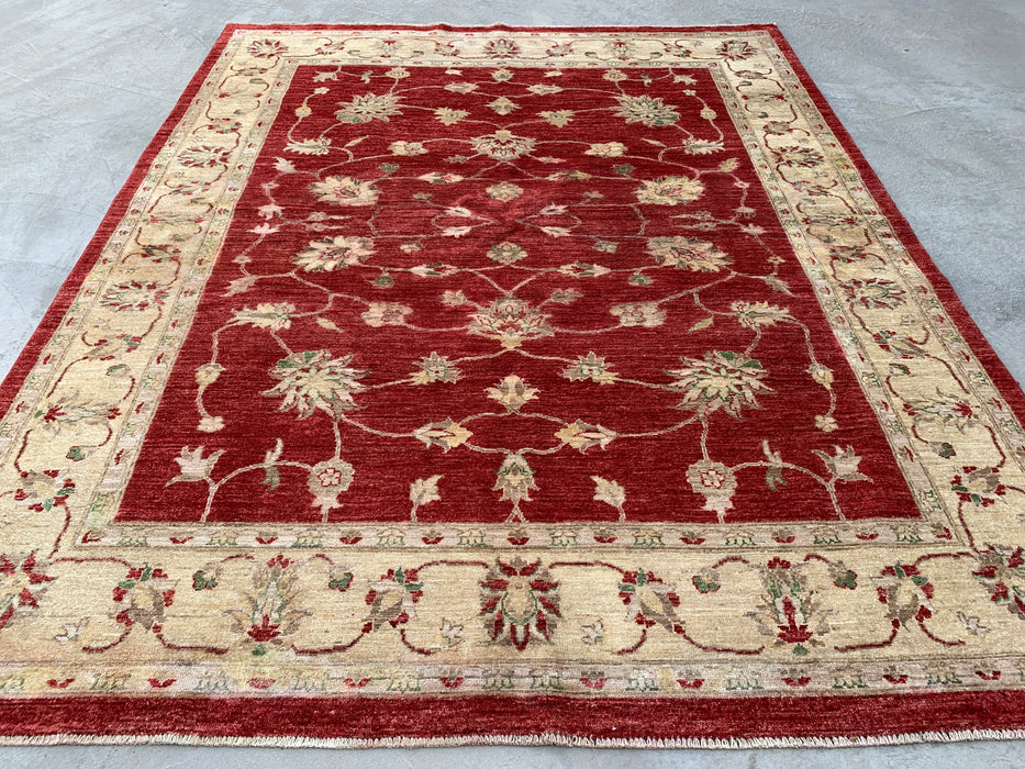 7'10 x 6'4 Hand-Knotted Peshawari Chobi Wool Rug - Red Traditional Floral Area Rug - KBHM-544