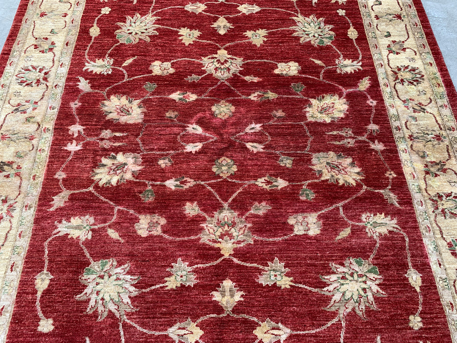 7'10 x 6'4 Hand-Knotted Peshawari Chobi Wool Rug - Red Traditional Floral Area Rug - KBHM-544
