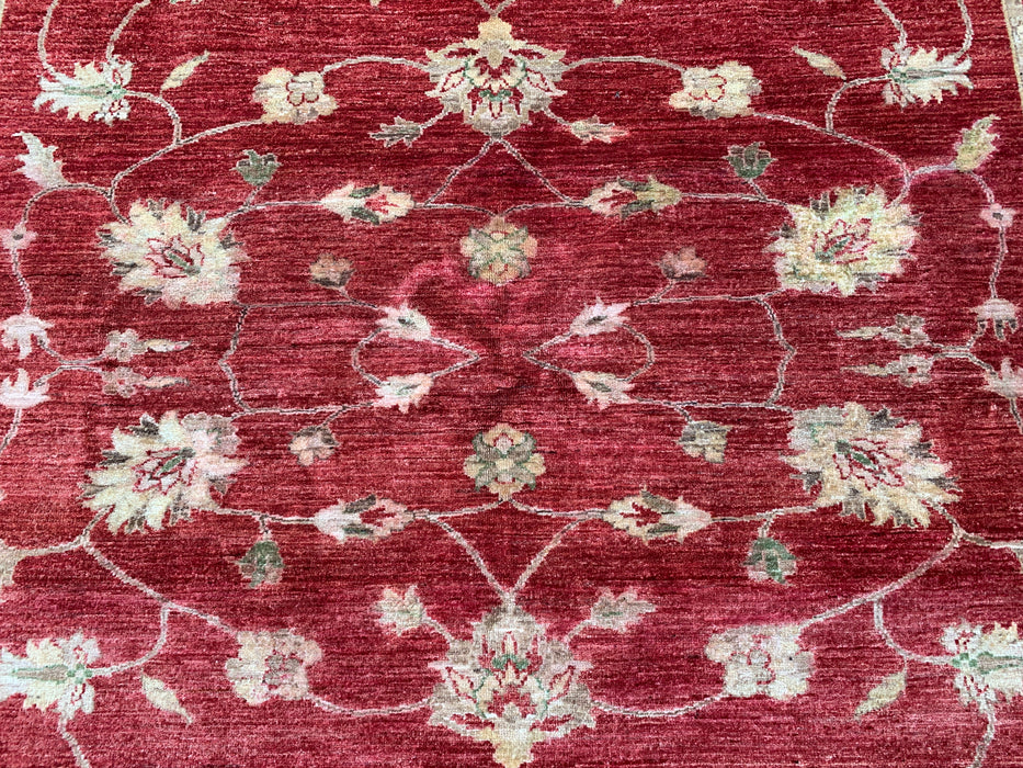 7'10 x 6'4 Hand-Knotted Peshawari Chobi Wool Rug - Red Traditional Floral Area Rug - KBHM-544