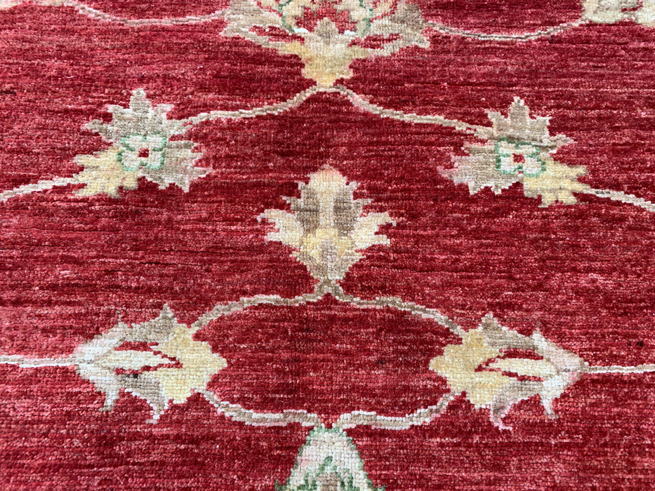 7'10 x 6'4 Hand-Knotted Peshawari Chobi Wool Rug - Red Traditional Floral Area Rug - KBHM-544