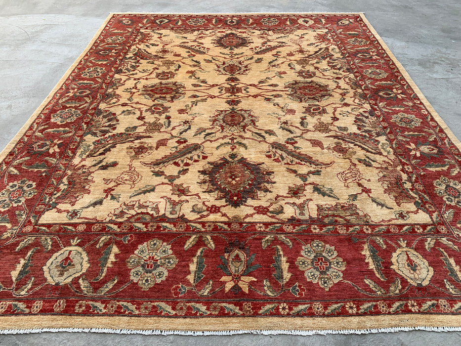 10'1 x 7'11 Handgeknoopt Peshawari Chobi wollen tapijt - Rood traditioneel bloemenkleed - KBHM-550