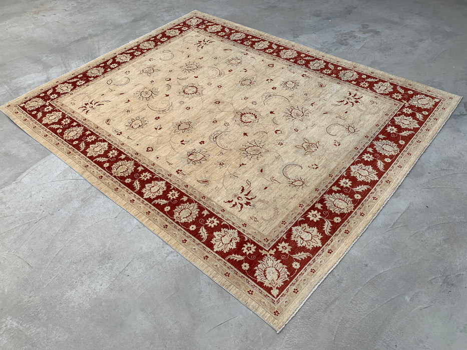 11'10 x 9'5 Handgeknoopt Peshawari Chobi Wollen Vloerkleed - Ivoor Traditioneel Bloemrijk Vloerkleed - KBHM-610