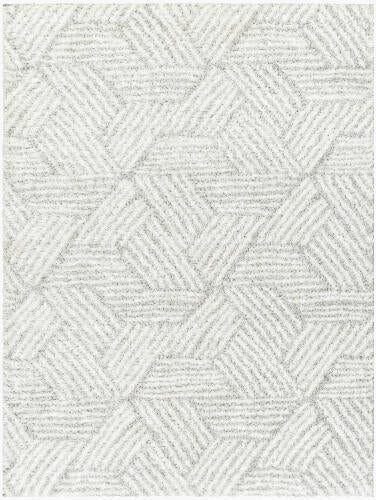 Cloudy Shag Machinaal Geweven Vloerkleed — Lichtgrijs | CDG-2320 no - performance
