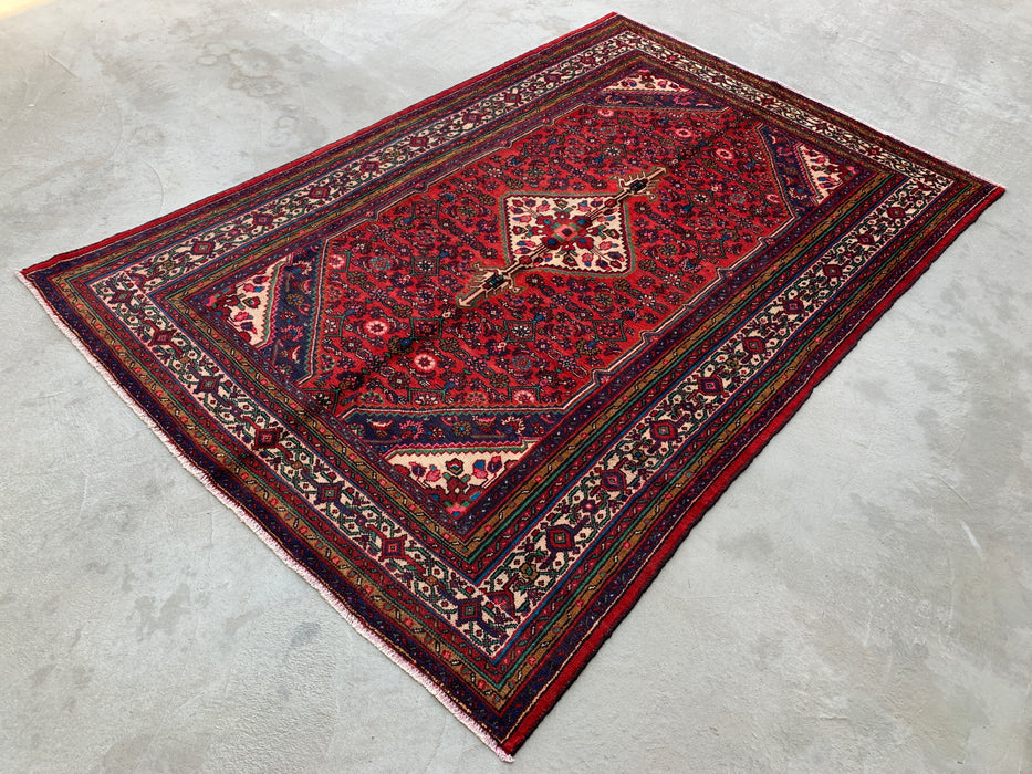 Handmade Persian Wool Area Rug 7x10 - Red Medallion Persian Style Rug - Exact Size 10'2" x 6'10" - KBHM-993