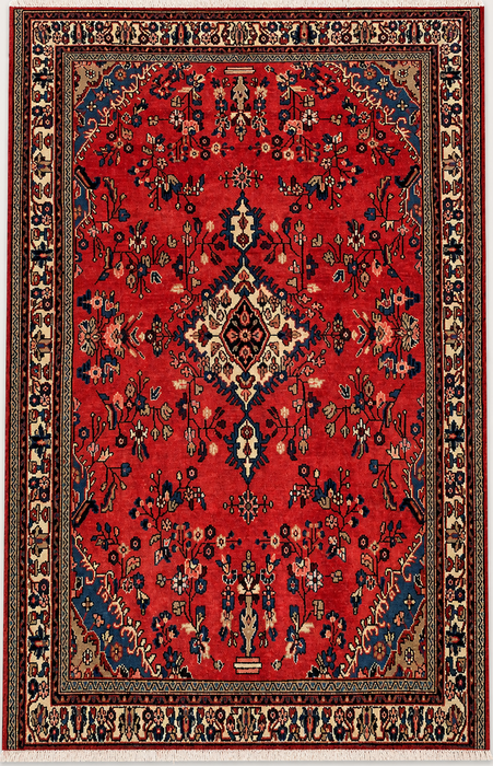 Handmade Persian Wool Area Rug 7x10 - Red Floral Medallion Persian Style Rug - Exact Size 9'3" x 6'10" - KBHM-686