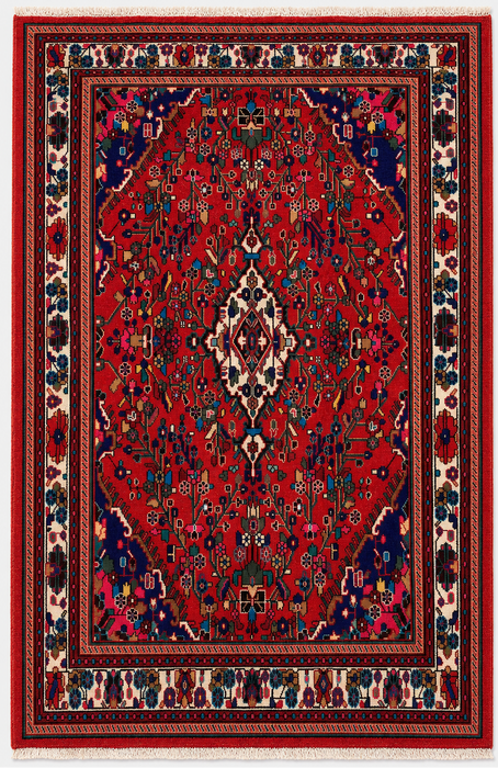 Handgemaakt Perzisch wollen vloerkleed 7x10 - Rood Perzisch tapijt met bloemenmedaillon - Exacte afmetingen 9'7" x 6'9" - KBHM-1019