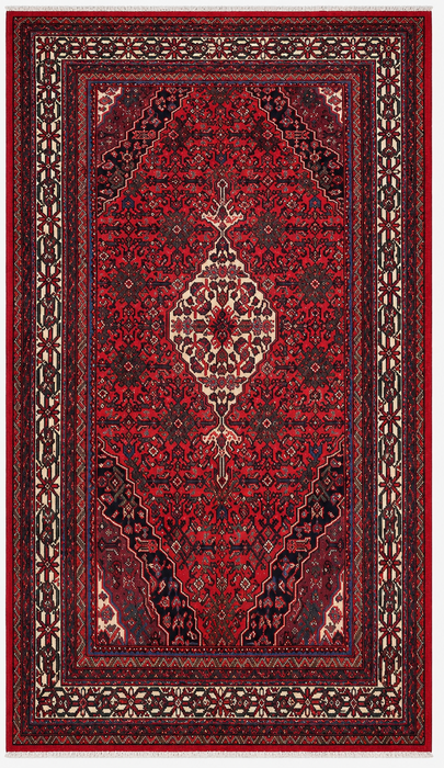 Handgemaakt Perzisch wollen vloerkleed 7x10 - Rood, ivoor & marineblauw traditioneel geometrisch medaillon Perzische stijl kleed - Exacte afmeting 10'6" x 6'8" - KBHM-1045