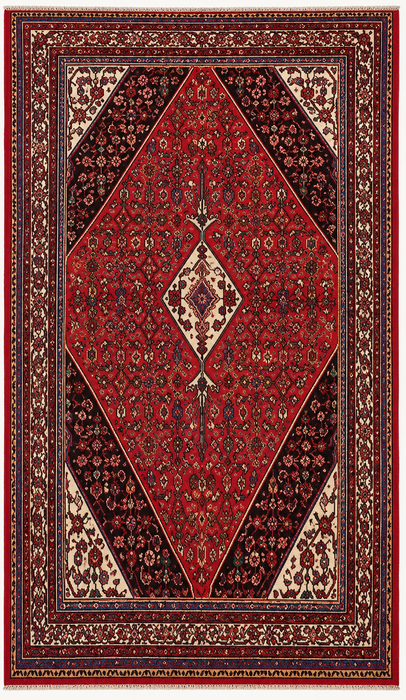 9'9 x 6'10 Handgeknoopt Perzisch wollen tapijt - Rood, ivoor & bruin traditioneel geometrisch medaillon Perzisch stijl tapijt - KBHM-1031