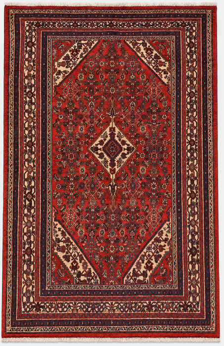 Handgemaakt Perzisch wollen vloerkleed 7x10 - Rood medaillon Perzisch stijl vloerkleed - Exacte afmeting 9'10" x 6'10" - KBHM-969