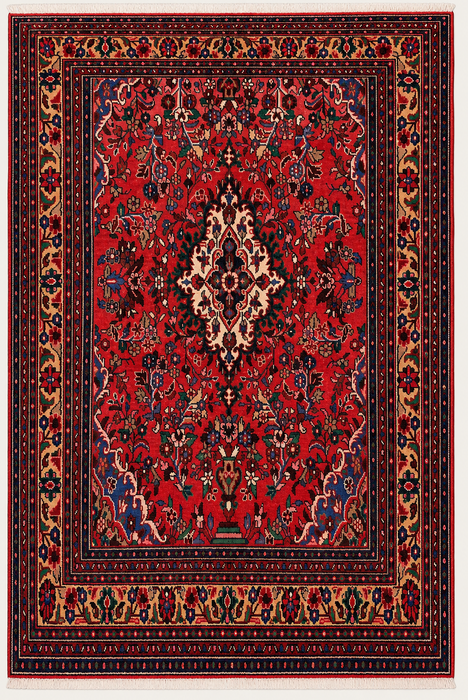 Handgemaakt Perzisch wollen vloerkleed 210x300 - Rood bloemenmedaillon Perzisch stijl tapijt - Exacte afmeting 272 cm x 206 cm - KBHM-964