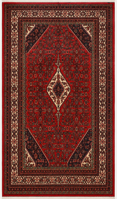 Handgemaakt Perzisch wollen vloerkleed 213x305 cm - Rood, ivoor & houtskool tribaal medaillon Perzisch stijl kleed - Exacte afmeting 312 cm x 211 cm - KBHM-802