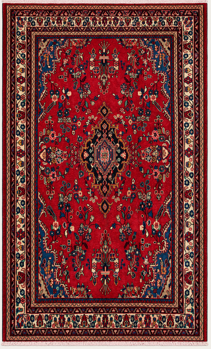 Handgemaakt Perzisch wollen vloerkleed 7x10 - Rood, blauw & ivoor kleurig Perzisch stijl kleed met bloemenmedaillon - Exacte afmeting 9'11" x 6'9" - KBHM-776