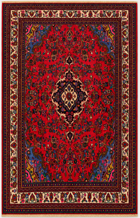 Handgemaakt Perzisch wollen vloerkleed 7x10 - Rood, marineblauw & ivoorkleurig bloemenmedaillon Perzische stijl vloerkleed - Exacte afmeting 9'11" x 6'8" - KBHM-766