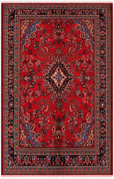 Handmade Persian Wool Area Rug 7x10 - Red, Navy & Ivory Floral Medallion Persian Style Rug - Exact Size 9'9" x 7'0" - KBHM-763