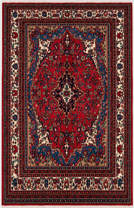 Handgemaakt Perzisch wollen vloerkleed 7x10 - Rood Perzisch tapijt met bloemenmedaillon - Exacte afmetingen 10'4" x 7'2" - KBHM-688