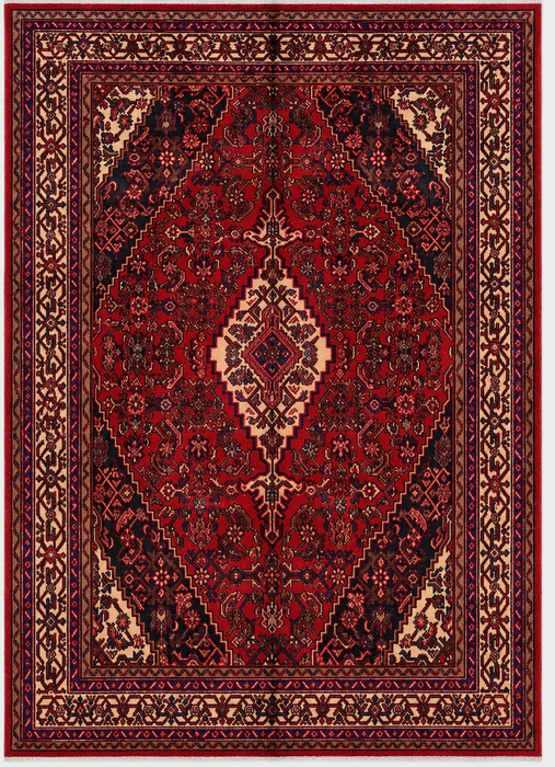 Handgemaakt Perzisch wollen vloerkleed 7x10 - Rood, marineblauw & ivoor traditioneel geometrisch medaillon Perzische stijl kleed - Exacte afmetingen 310 cm x 211 cm - KBHM-1026
