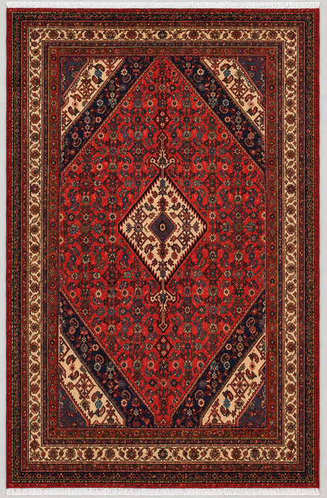 Handmade Persian Wool Area Rug 7x10 - Red Medallion Persian Style Rug - Exact Size 9'10" x 7'0" - KBHM-941