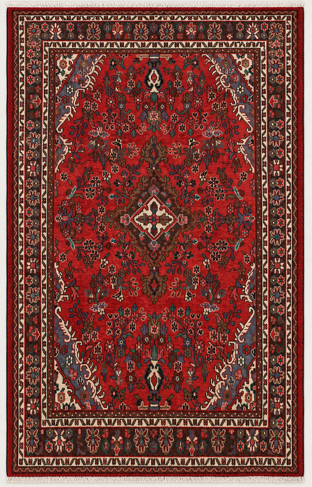 Handgemaakt Perzisch wollen vloerkleed 7x10 - Rood bloemmotief medaillon Perzische stijl vloerkleed - Exacte afmetingen 9'8" x 6'11" - KBHM-939