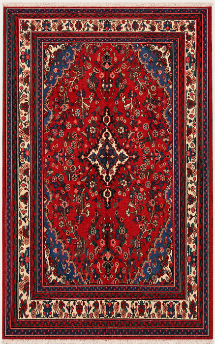 10'0 x 6'10 Handgeknoopt Perzisch wollen vloerkleed - Rood Perzisch vloerkleed met bloemenmedaillon - KBHM-1018